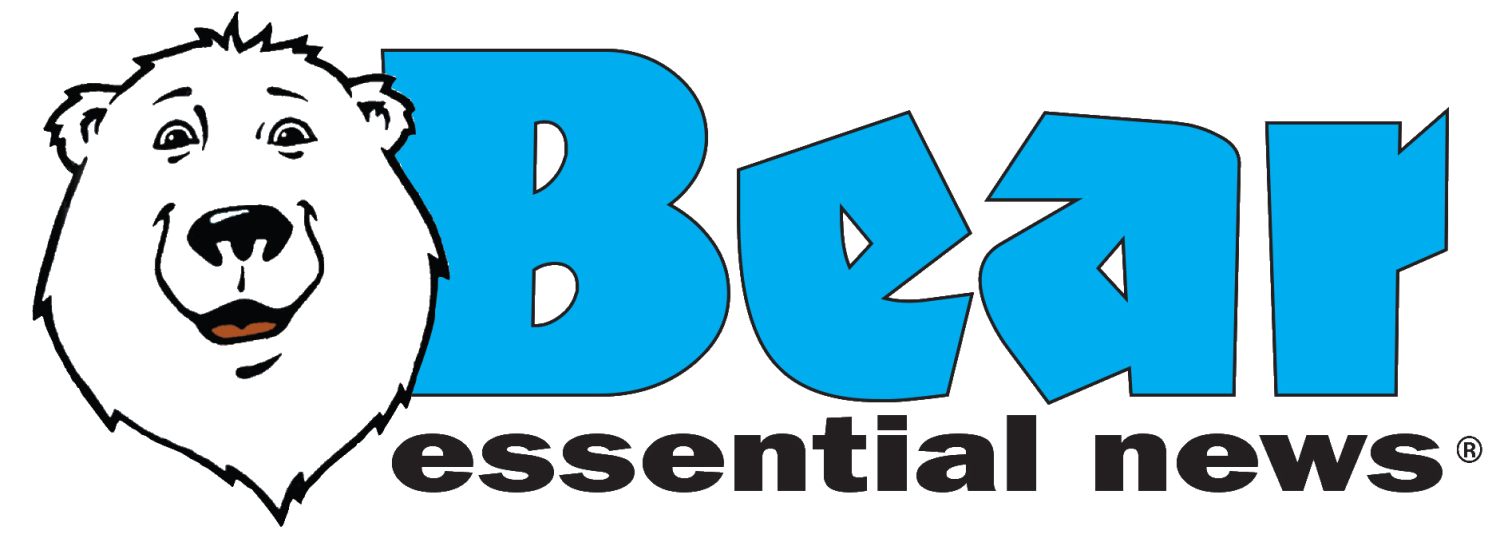 Bear Logo