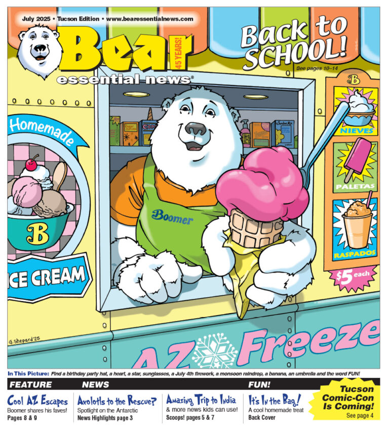 A friendly cartoon polar bear named Boomer is selling ice cream from a colorful truck. He’s holding a big pink scoop in a cone and smiling. The truck says “AZ Freeze” and “$5 each.”
