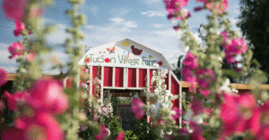 A red and white barn with a sign that says “Tucson Village Farm” is surrounded by tall pink and white flowers under a bright blue sky.