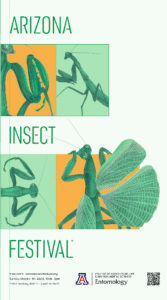 Arizona Insect Festival