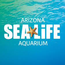 Sea Life Arizona