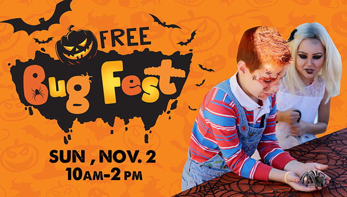 Free Bug Fest