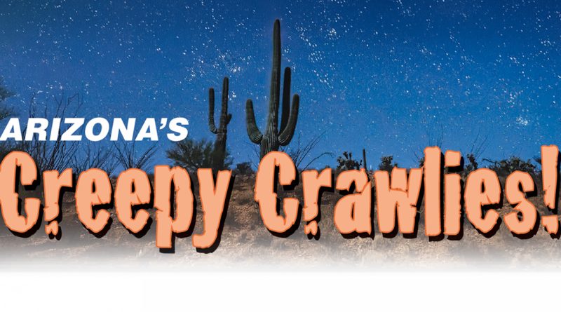 A desert scene at night with tall cactus plants and stars, with big text that says “Arizona’s Creepy Crawlies!”