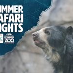 Safari Nights at Reid Park Zoo