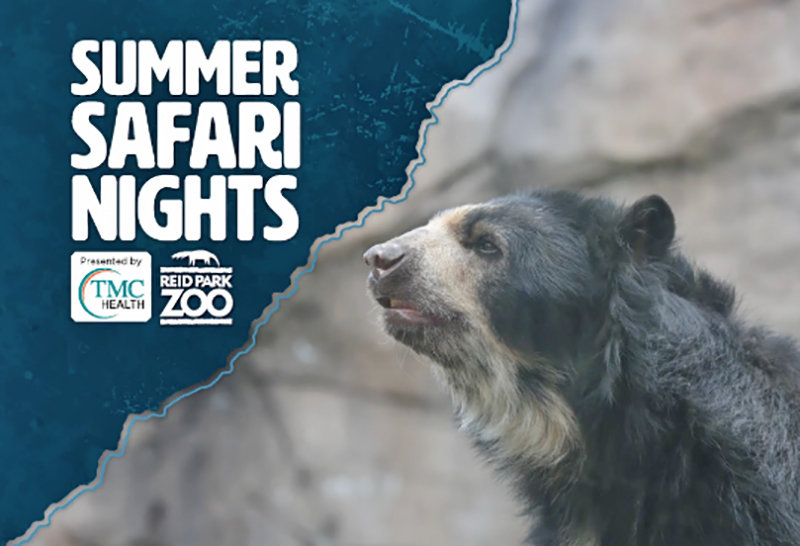 Safari Nights at Reid Park Zoo