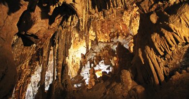 Inside a large cave with tall stalactites hanging from the ceiling and stalagmites rising from the floor, lit by warm golden lights.