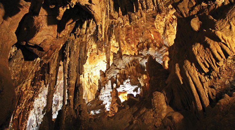 Inside a large cave with tall stalactites hanging from the ceiling and stalagmites rising from the floor, lit by warm golden lights.