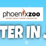Winter in July at the Phoenix Zoo