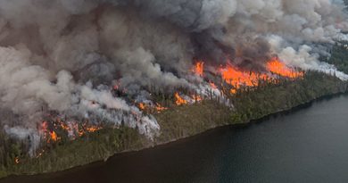 Aerial view of a massive wildfire burning a forest next to a lake, with huge orange flames and thick gray smoke filling the sky.