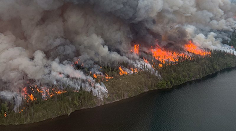 Aerial view of a massive wildfire burning a forest next to a lake, with huge orange flames and thick gray smoke filling the sky.