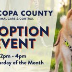 Bookmans Pet Adoption Event