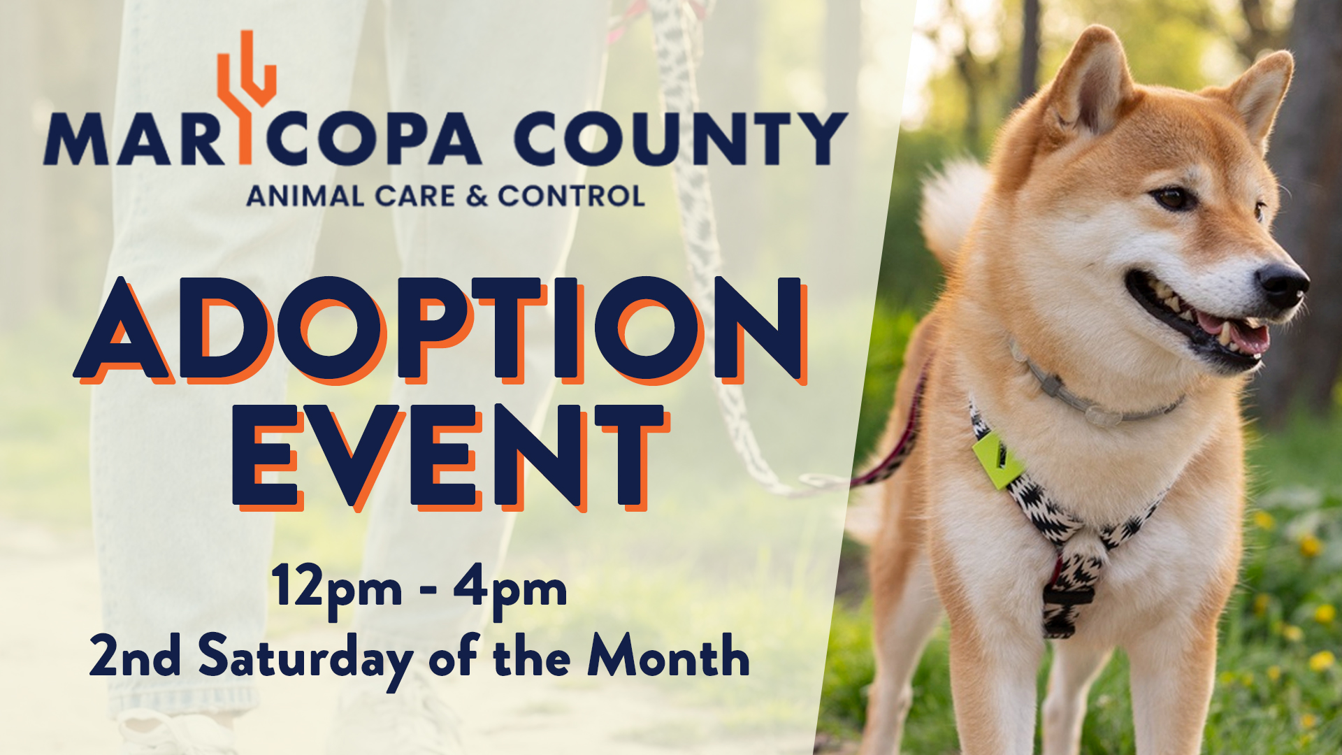 Bookmans Pet Adoption Event