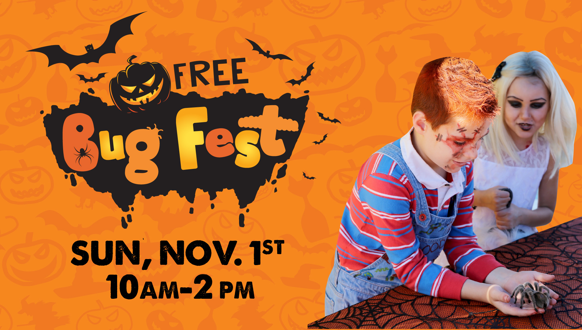 Bug Fest at Arizona Boardwalk