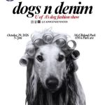 Dogs N Denim